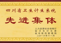 2016四川省卫生计生系统先进集体