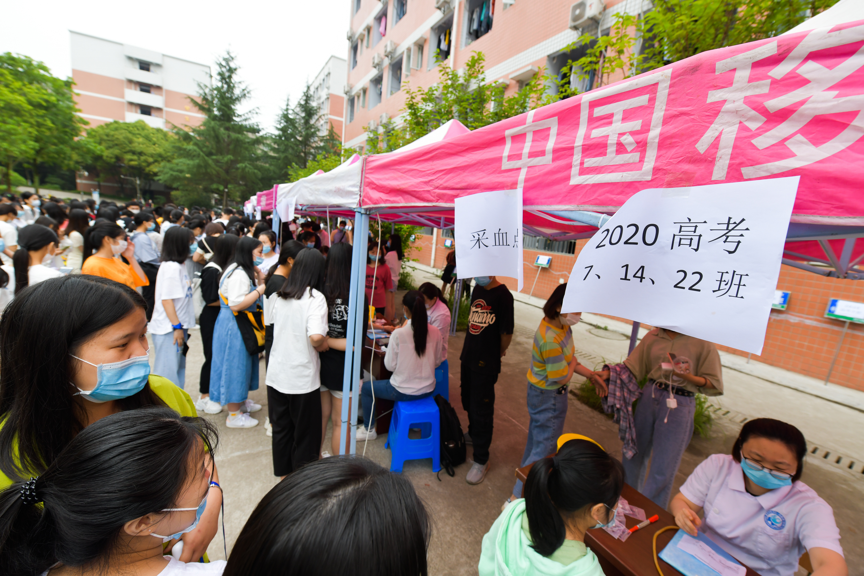 查身体健康 圆大学之梦