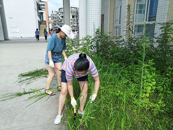 开展党员志愿活动 打造优美校园环境